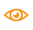 Vision